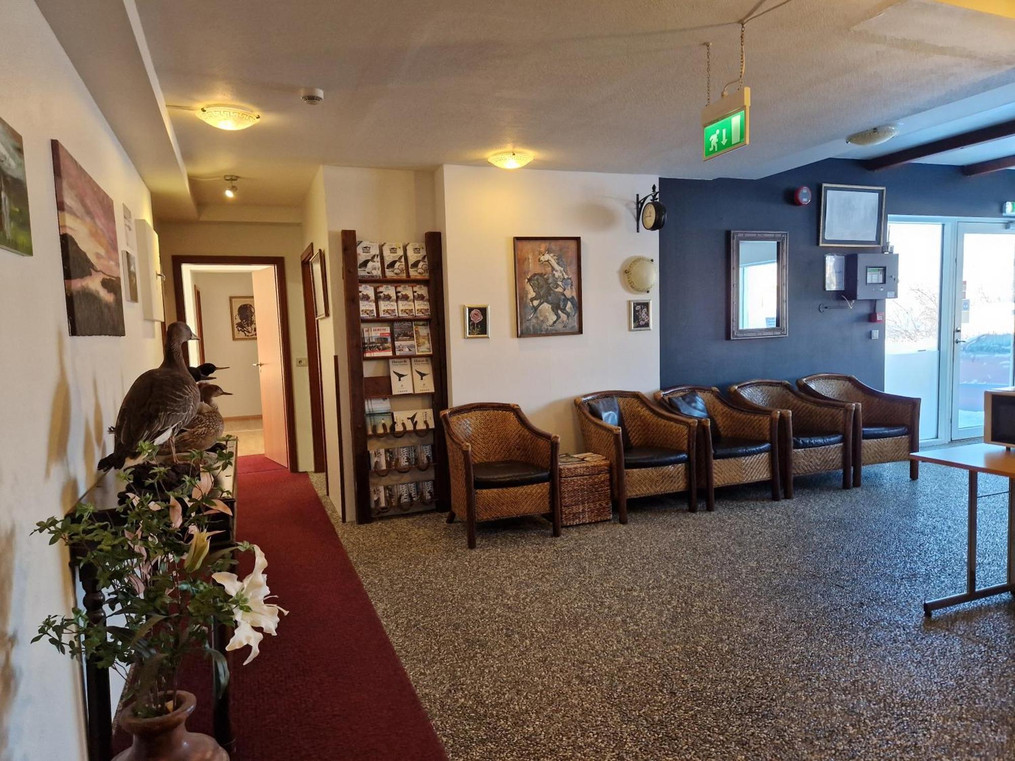 Gauksmyri Guesthouse Lodge Hvammstangi Eksteriør billede